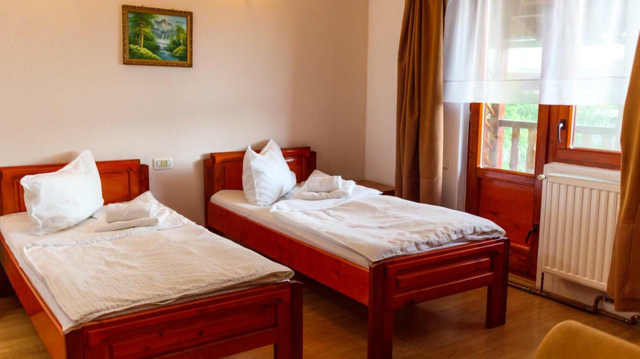 Hotel Pension Ladyna Sebiş Zewnętrze zdjęcie